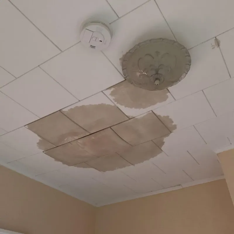 Ceiling Water Damage Repair in Lake Mohawk, OH