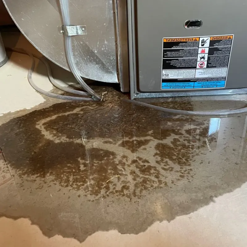 Pipe Burst and Leak Restoration in Lake Mohawk, OH
